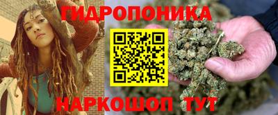 крисы Кандалакша