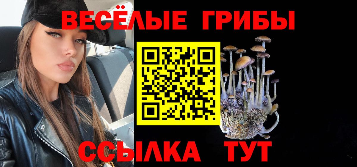 Псилоцибиновые грибы Psilocybe  Вход с VPN  Красноярск 